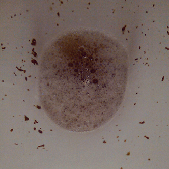 Shitman13 – новый артпроект художника, имя которого пока держится в секрете