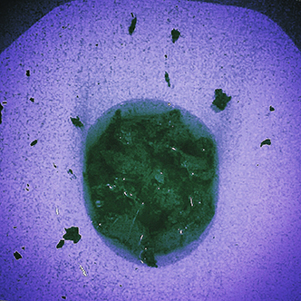 Shitman13 – новый артпроект художника, имя которого пока держится в секрете